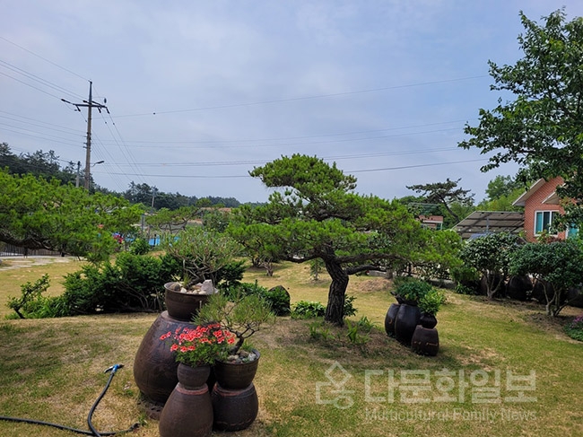 신안군, 개인정원 200여 개소 등록... 상하수도 요금 감면 혜택 ‘큰 호응’
